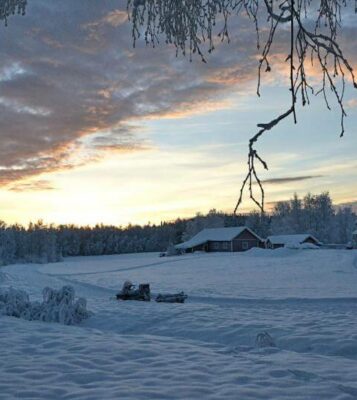 Nos coups de cœur cet hiver